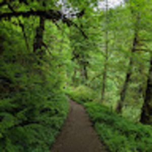 Meet your Posher, Scott